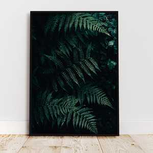 Impression moderne A4 Forêt de fougères, design végétal contemporain - Product Image 4