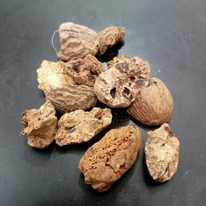 Noix de muscade BWP extrait de plantes cultivées sauvages entières - Product Image 1