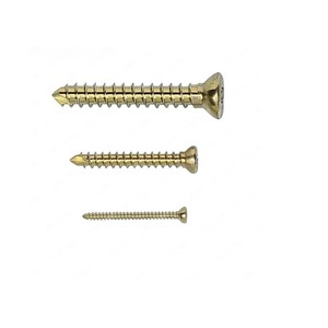 1,5 milímetros de titânio liga cortical osso Screw - Pet Self-Tapping pequeno animal ortopédico equipamentos-Veterinária Titanium Skin Nail