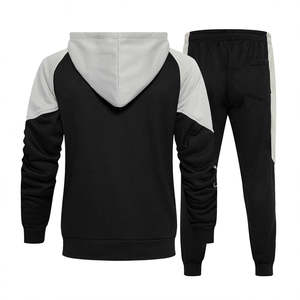 2025 coton Logo personnalisé sport grande taille survêtement Gym plaine polaire hiver Jogging sweats à capuche hommes survêtement ensemble - Product Image 5
