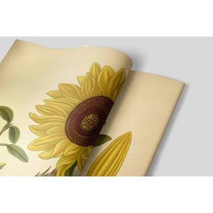 Peinture vintage de tournesol : impression sur toile d'art botanique, affiche roulée - Product Image 1