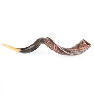 Vente en gros Grande corne de bélier Shofar casher Instrument de musique poli naturel utilisé à des fins religieuses juives - Product Image 5