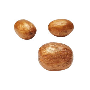 Amra Pod Vase séché Remplisseurs Plantes décoratives Pot-pourri pour la maison ou le bureau Design floral élégant pour l'intérieur - Product Image 2