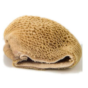 Venta al por mayor de carne seca y salada Omasum Halal Buffalo despojos y partes del cuerpo empaquetados a granel - Product Image 1