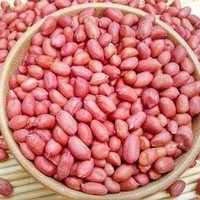 Arachides de l'afrique
