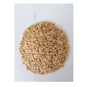 ข้าวโอ๊ตออร์แกนิคคุณภาพสูง ขายในราคาขายส่งที่ถูกที่สุด - Product Image 5