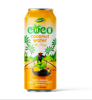 Fabrikant's Verfrissende 500ml Kokoswater Aloë Vera smaak Natuurlijke Smaak Laag in vet 100% Pure Elektrolyten Fruit Sap Puree Blikjes