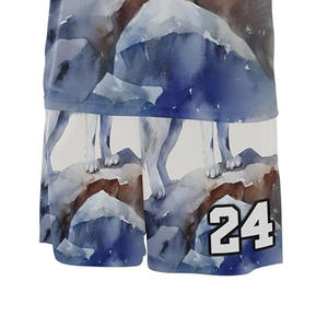 Uniforme de basket-ball avec logo personnalisé de haute qualité, confortable et meilleur tissu doux, ensembles de conception personnalisée - Product Image 6