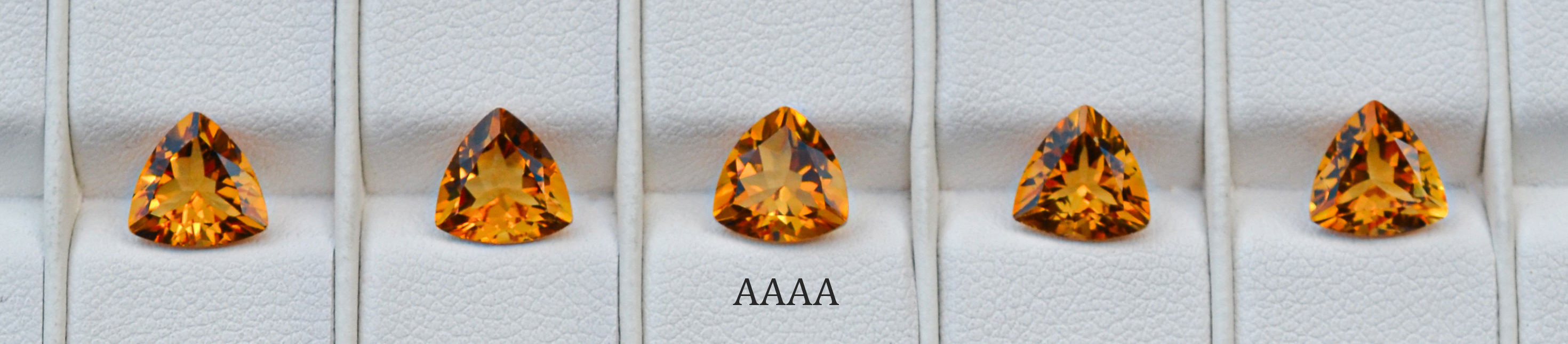 AAAA