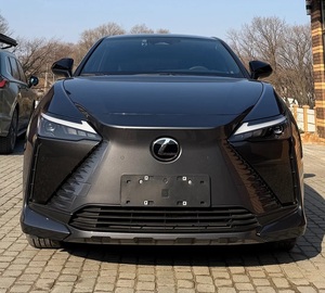 Cargador de Coche con Batería de Litio de 110 kWh+ y Carga Rápida para Lexuz R.Z 450-e EV 2023, con Autonomía NEDC de 101-200 km - Product Image 1