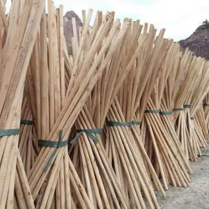 Gran cantidad de palos de madera redondos para la producción agrícola y la fabricación de muebles - Product Image 3