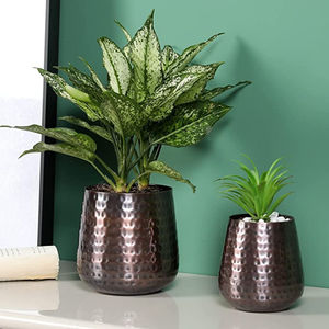 Fabuleux Design Argent Jardinières En Plein Air Intérieur Décor Argenterie Plantes Herbes Pot Pour Vente Chaude Pot De Fleur - Product Image 5