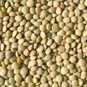 Wholesale Ready-to-Export Dried Lentils Fast Shipping Secure Bulk <b>Packaging</b> Fresh Natural Lentils Available - Product Image 3