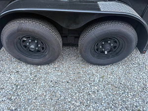 Remolques y Camiones para Caballos en Venta - Product Image 2