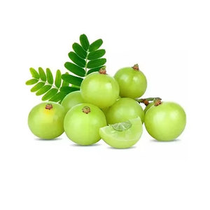 Polvo de grosella espinosa India Amla natural 100% disponible a precio mayorista - Product Image 1