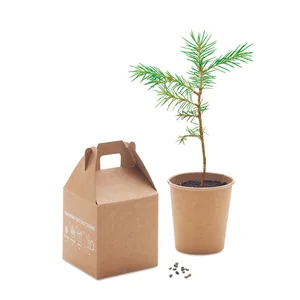 Kits d'outils promotionnels GROWTREE en bois de pin écologique avec des caractéristiques durables et naturelles - Product Image 6