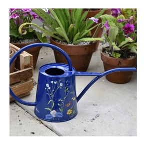 Conception intérieure et extérieure arrosoir de meilleure qualité en fer métal nouveau design arrosoir de forme personnalisée pour la maison jardin usage quotidien - Product Image 3