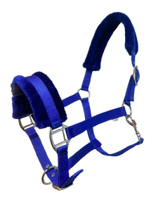 Halter de cheval en polypropylène de style selle anglaise robuste avec rembourrage doux et mousqueton Équipement de cheval de qualité supérieure - Product Image 4