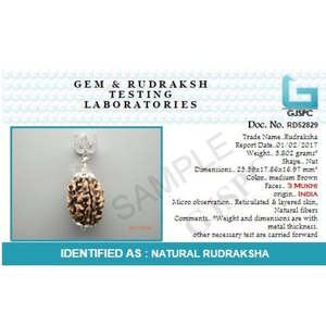Pendentif Trishul en argent 925 avec Rudraksha 7 Mukhi népalais, 100% original et certifié, pendentifs et breloques de qualité supérieure - Product Image 5