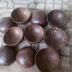 coconut shell bowl natural many type in bulk