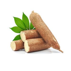 Légumes de manioc frais 100% naturels et biologiques 20cm 25kg Portugal au meilleur prix de gros - Product Image 2