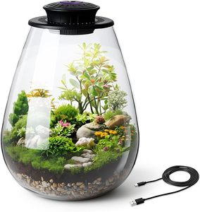 Mini Terrario de Vidrio de Escritorio <span class=keywords><strong>con</strong></span> <span class=keywords><strong>Luz</strong></span> de Cultivo para Plantas Suculentas, Musgo, Jardinería en Miniatura, Paisaje, Pecera Pequeña - Product Image 1