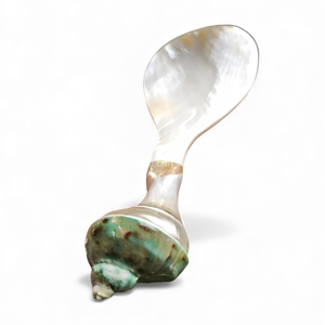 Cuchara de Nácar para Yogur, Postre y Servicio Gourmet, Fabricada Directamente en Vietnam - Product Image 1