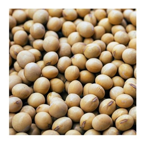 Best Grade Dried Soybean Bulk Packed - Product Image 3