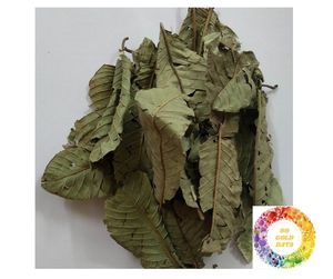 Ổi lá truyền trà với 100% tươi ổi lá tự nhiên chất lượng cao cai nghiện làm sạch trà giúp lượng đường trong máu thấp hơn - Product Image 6