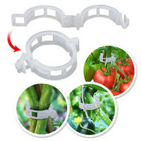 Clips de support pour plantes concombres et tomates 23 mm, forte adhérence, biodégradables, utilisables toute saison, design innovant pour le jardinage en serre