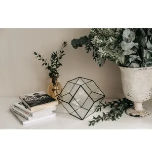 Fourniture d'usine moderne pour vase terrarium en verre en forme de boule cadre en métal multi-usages pour un usage domestique pour plantes fleurs vase à thé - Product Image 1