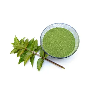 Natural Neem Leaves Powder Direct Factory Sale 100% Pure Neem Leaf Powder Buy From Indian Manufacturer