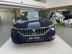 Coche de Patrulla Eléctrico V0-Y-AH Nuevo Coche Eléctrico de Energía Libre con Volante a la Izquierda Precio - Product Image 2