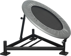 IRIS 15kg Custom Size PVC Pro Bounce Medicine <b>Ball</b> <b>Rebounder</b> for Hot Sale - Product Image 4