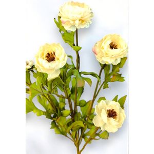 Crème de renoncule de pivoine - Product Image 2