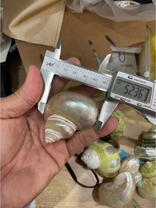 Anneaux de serviette Shell pour les paramètres de table de mariage de plage, décor côtier et exportation dans un emballage en vrac - Product Image 3