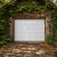 Porte de garage sectionnelle automatique sur mesure, télécommandée, antivol, anti-poussière, résistante au vent, pour villa privée, maison indépendante