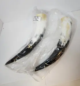Affordable Viking Horn for Viking Theme Party <b>Festival</b> and Display Traditional Viking Horn for Mead Drinking horn at cheap price - Product Image 6