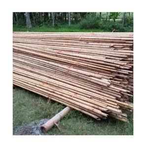 Produtos de bambu decorativos bambu Top best-seller bastão reto para plantas de jardim Espessura Pólos variedade de tamanho para construção