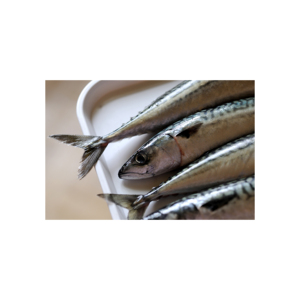 ปลาแมคเคอเรลใน L49สำหรับอาหารกระป๋องปลาแมคเคอเรลในมหาสมุทรแปซิฟิกเหนือแช่แข็งขายดี - Product Image 5