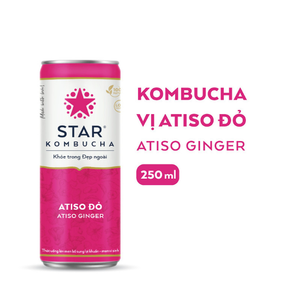 Produit en gros de qualité supérieure de carbonate de gingembre Atiso Kombucha - Product Image 2