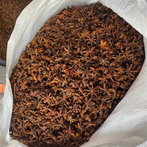 Aumente su estante de especias con anís estrellado de cosecha de invierno de alta calidad a precios de fábrica - Product Image 4