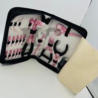 Nouveautés : Kit d'outils pour extensions capillaires roses – Crochets, pinces, boîte, fils, aiguilles, pinces à ruban de vison durable, acier inoxydable