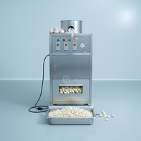 Machine à éplucher l'ail électrique commerciale en acier inoxydable 220V/380V, garantie 1 an, pour l'épluchage de l'ail frais, des fruits et des légumes