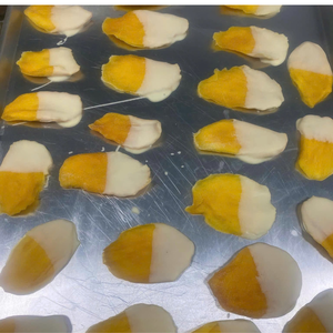 มะม่วงอบแห้งแบบนิ่มเคลือบในช็อกโกแลต - Product Image 1