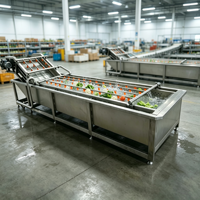 Commerciële groentewasmachine, industriële producten-bubbelreinigingsmachine