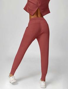 Pantalones Deportivos de Invierno para Mujer al por Mayor, Pantalones de Chándal de Algodón de Secado Rápido con Logotipo Personalizado de Alta Calidad para Adultos - Product Image 2