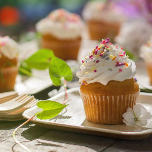 Assiettes carrées jetables de 10 pouces en arec biodégradable de qualité supérieure pour collations et desserts, parfaites pour la rentrée scolaire et les fêtes, compatibles micro-ondes - Product Image 4