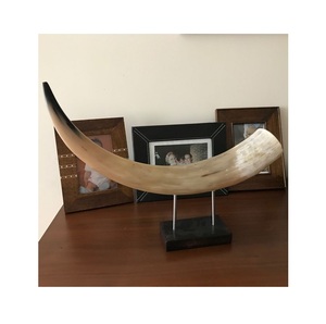 Cuerno de beber vikingo tradicional auténtica taza rústica jarra de Guerrero medieval Copa hecha a mano tallada recipiente de hidromiel nórdico natural - Product Image 3