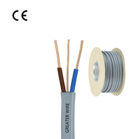 Câble de terre double fil de cuivre plat gaine d'isolation en PVC 6242Y 6243Y BVVB 1.5mm 2.5mm 4mm 6mm pour le câblage électrique de construction